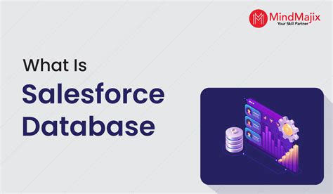 salesforce database class